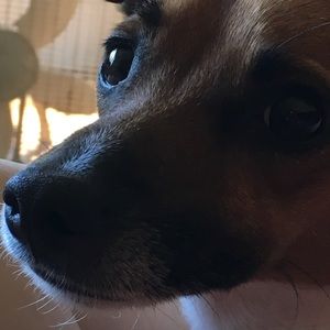 Meet your Posher, Shayla